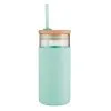 Avanti Glass Smoothie Tumbler 500ml Mint