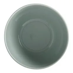 Casa Domani Corallo Sage Bowl 13.5cm
