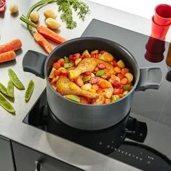 Tefal Titanium Fusion Induction Stewpot 24cm / 5L