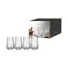 Tempa Esme 4 Pack Highball Tumbler Clear